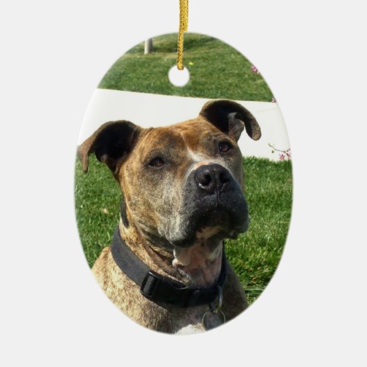ピットブル セラミックオーナメント (正面)