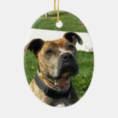 ピットブル セラミックオーナメント (裏面)