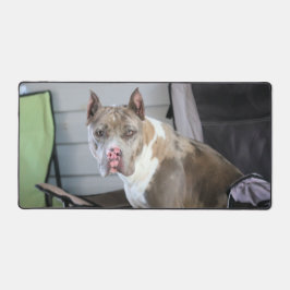 ピットブル デスクマット