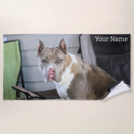 ピットブル ビーチタオル