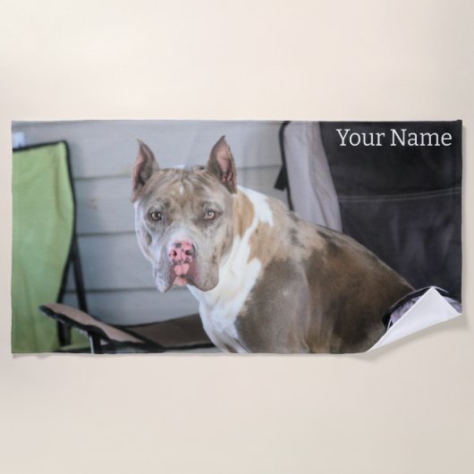 ピットブル ビーチタオル (正面)