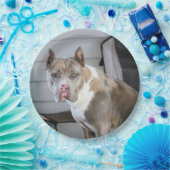 ピットブル ペーパープレート (パーティー)