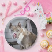 ピットブル ペーパープレート (パーティー)