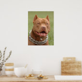 ピットブル ポスター (キッチン)