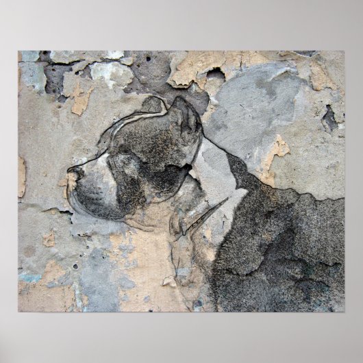 ピットブル ポスター (正面)