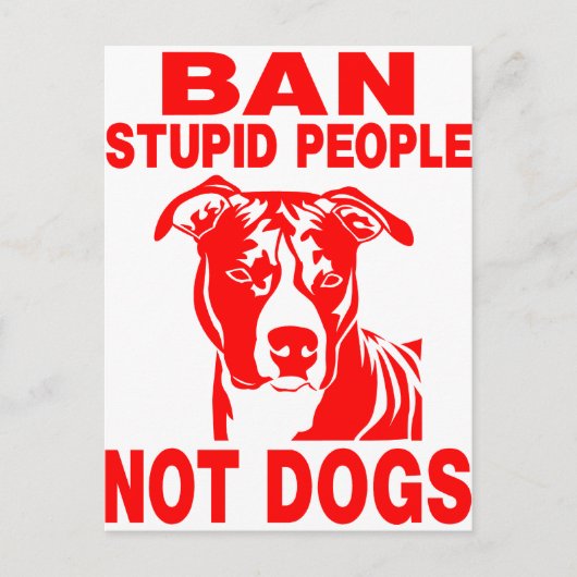 ピットブル ポストカード (正面)