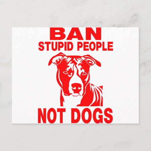 ピットブル ポストカード (正面)