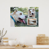 ピットブル – マーベリック複合 ポスター (キッチン)