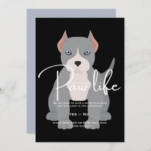 ピットブル 遊びの日 招待 招待状 (正面/裏面)