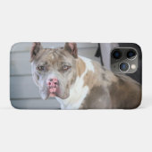 ピットブル Case-Mate iPhoneケース (裏面(横))