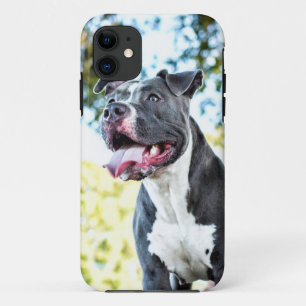 ピットブル iPhone 11 ケース