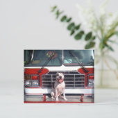 ピットブルTボーンファイアハウスドッグ ポストカード (スタンド正面)