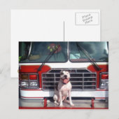 ピットブルTボーンファイアハウスドッグ ポストカード (正面/裏面)