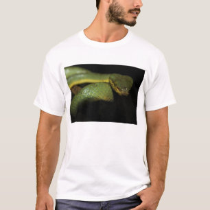 ピット毒蛇のTシャツ Tシャツ