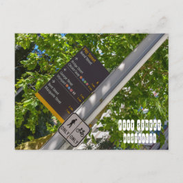 ピット通り ポストカード