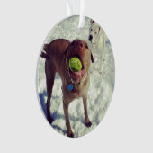 ピット・ブルのクリスマスのオーナメント オーナメント (正面)