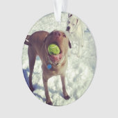 ピット・ブルのクリスマスのオーナメント オーナメント (正面)