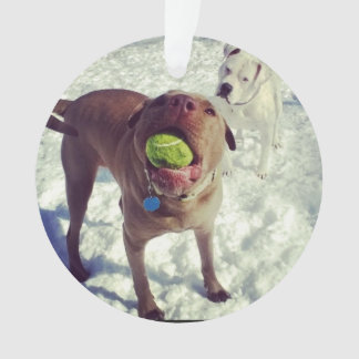 ピット・ブルのクリスマスのオーナメント オーナメント