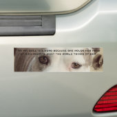 ピット・ブルのバンパーステッカー バンパーステッカー (車上)