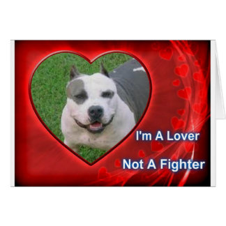 ピット・ブルの恋人