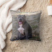 ピット・ブルの枕 クッション (ブランケット)