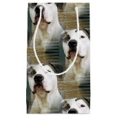 ピット・ブルのT骨 スモールペーパーバッグ (正面)