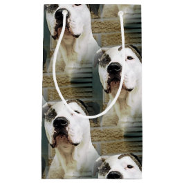 ピット・ブルのT骨 スモールペーパーバッグ