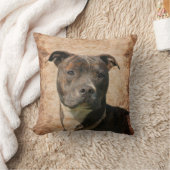 ピット・ブルテリア クッション (ブランケット)