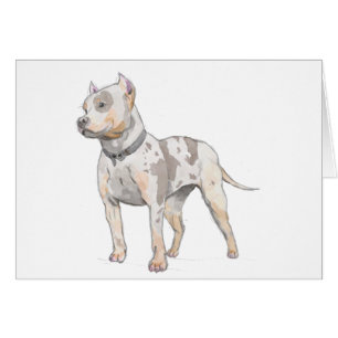 ピット・ブル犬の水彩画のスケッチカード