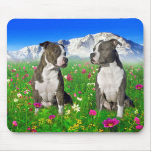 ピット・ブルBrindle及び青い(犬)スタッフォード及び犬 マウスパッド
