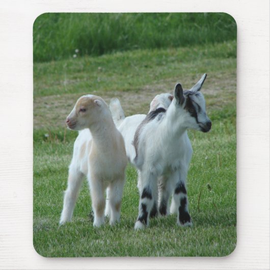 ピッピとグレー マウスパッド (正面)