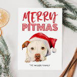 ピッメリーマス おもしろい| Santa Pit Bull Dog シーズンカード<br><div class="desc">赤いサンタ帽を持つ白いアメリカのピットブル・テリア犬の愛らしい水色のイラストレーション。犬の上メリーに「Pitmas」と書いてある。カードの裏には格子模様赤と白がある。ピットブル愛好家や所有者のための完璧なカード彼らのペットを休日の精神に含めることができるように！</div>