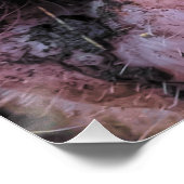 ピッ熱狂するグ ポスター (コーナー)