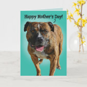 ピッ素晴らしトブルマザーズデイカード カード (黄色い花)