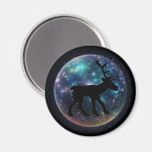 ピティシュタッグ宇宙オルブ マグネット (正面/裏面)