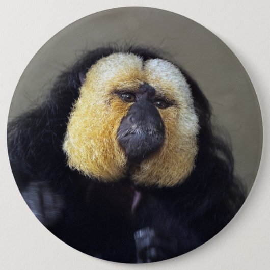 ピテシア 缶バッジ (正面)