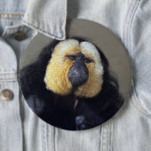 ピテシア 缶バッジ (インサイチュ)