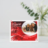 ピトナーはがき ポストカード (スタンド正面)