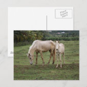 ピトン2 ポストカード (正面/裏面)