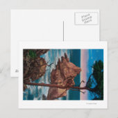 ピナクルポイント、ポインツロバス州立公園 ポストカード (正面/裏面)