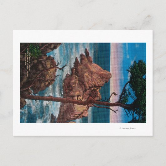 ピナクルポイント、ポインツロバス州立公園 ポストカード (正面)