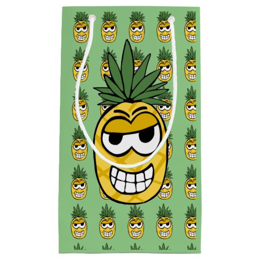 ピナリン スモールペーパーバッグ (正面)