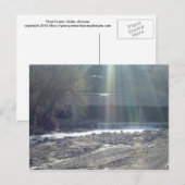 ピナルクリーク ポストカード (正面/裏面)