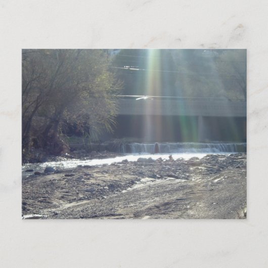 ピナルクリーク ポストカード (正面)