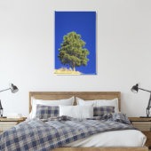 ピニオンパイン、ピヌス・エドリス、チオン国立公園、うた キャンバスプリント (インサイチュ (寝室))