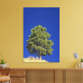 ピニオンパイン、ピヌス・エドリス、チオン国立公園、うた キャンバスプリント (インサイチュ (リビング))