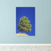 ピニオンパイン、ピヌス・エドリス、チオン国立公園、うた キャンバスプリント (インサイチュ (ウッドフロア))