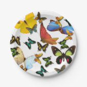 ピニッカラフルク用イエローブルーグリーン蝶 ペーパープレート (正面)