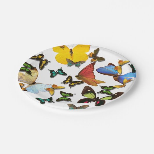 ピニッカラフルク用イエローブルーグリーン蝶 ペーパープレート (アングル)
