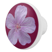 ピニーウッズゼラニウム#1 セラミックノブ (右)